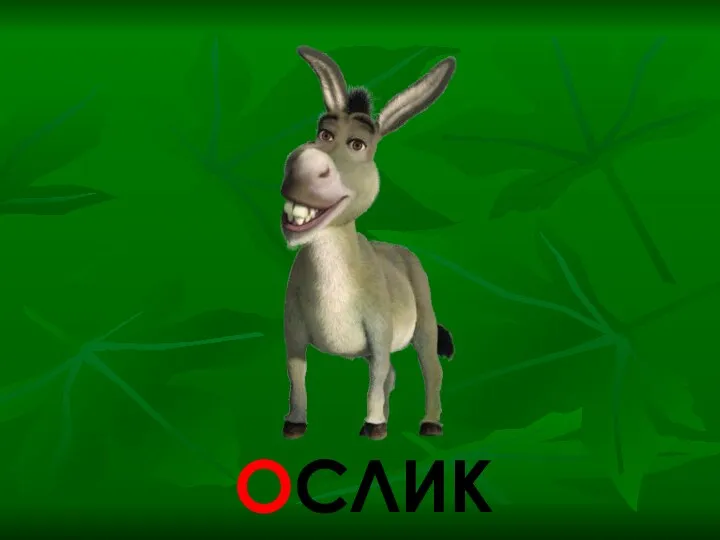 ОСЛИК