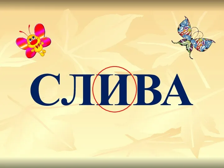 СЛИВА