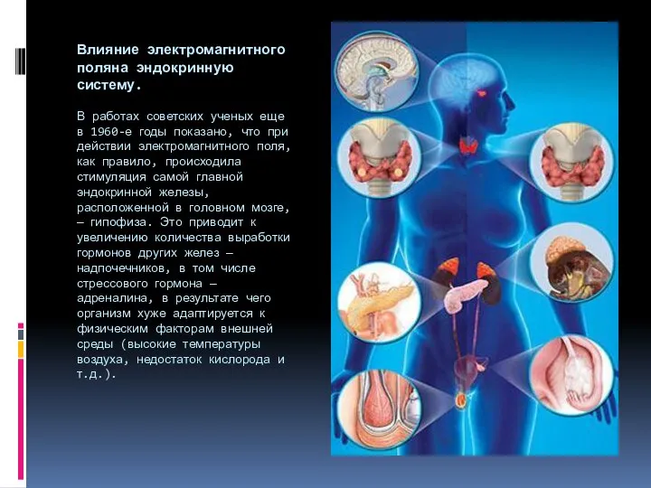 Влияние электромагнитного поляна эндокринную систему. В работах советских ученых еще в