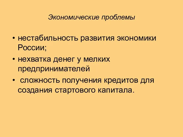 Экономические проблемы нестабильность развития экономики России; нехватка денег у мелких предпринимателей