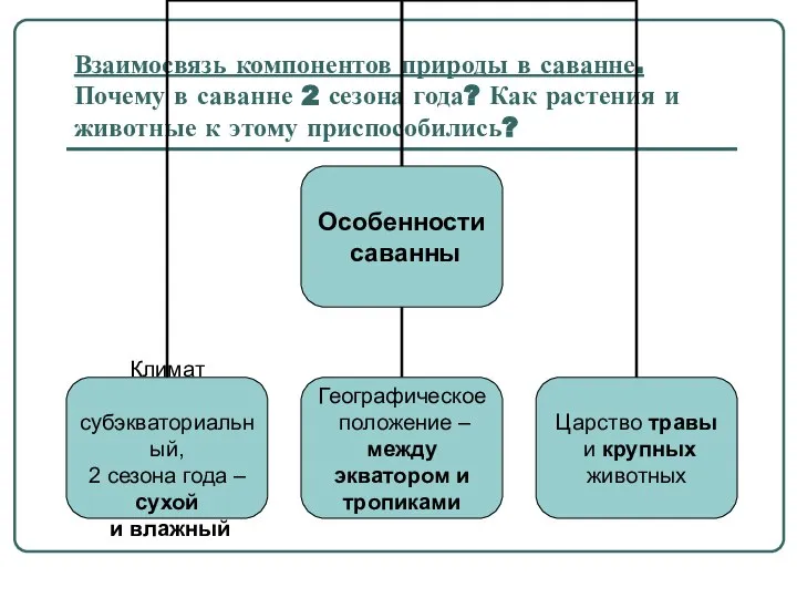 Взаимосвязь компонентов природы в саванне. Почему в саванне 2 сезона года?