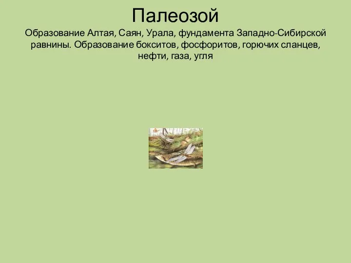 Палеозой Образование Алтая, Саян, Урала, фундамента Западно-Сибирской равнины. Образование бокситов, фосфоритов, горючих сланцев, нефти, газа, угля