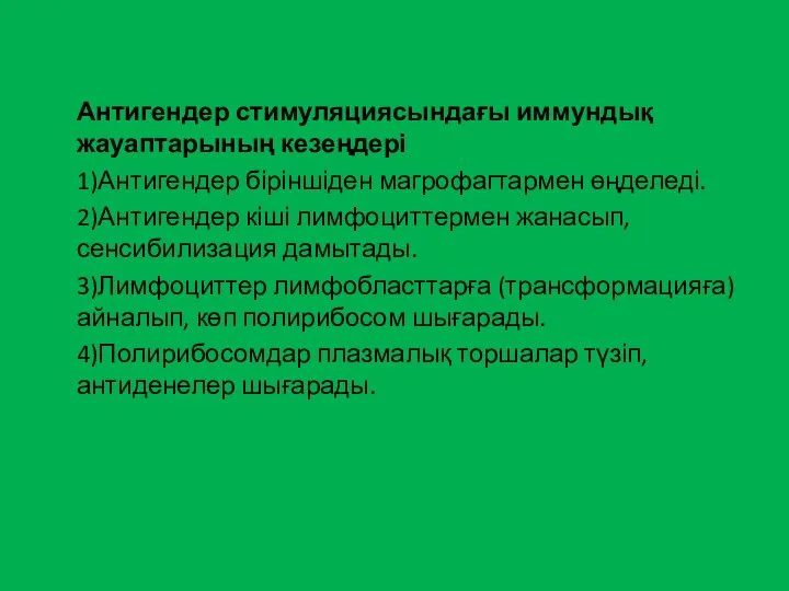 Антигендер стимуляциясындағы иммундық жауаптарының кезеңдері 1)Антигендер біріншіден магрофагтармен өңделеді. 2)Антигендер кіші