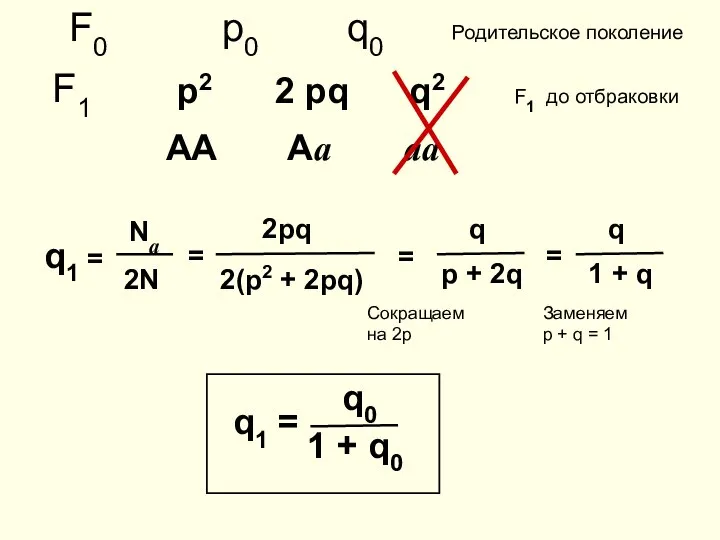 F0 p0 q0 Родительское поколение F1 до отбраковки q1 = Nа