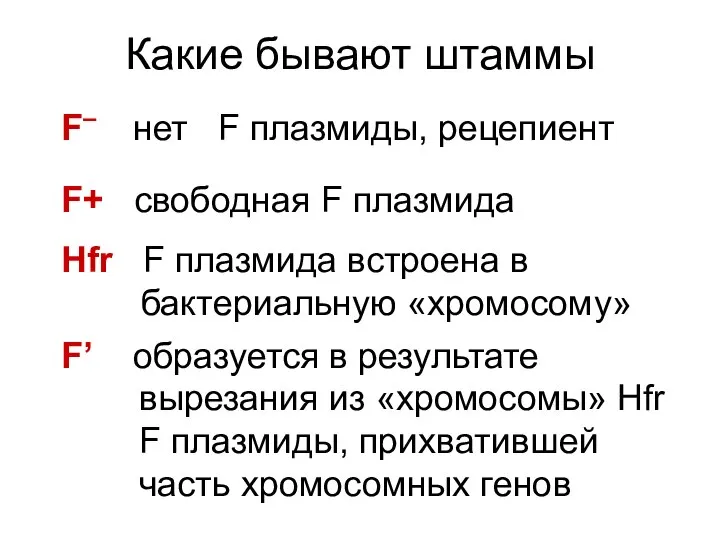 Какие бывают штаммы F– нет F плазмиды, рецепиент F+ свободная F