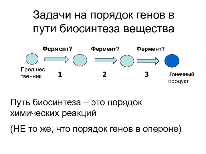 Задачи на порядок генов в пути биосинтеза вещества Конечный продукт Фермент?