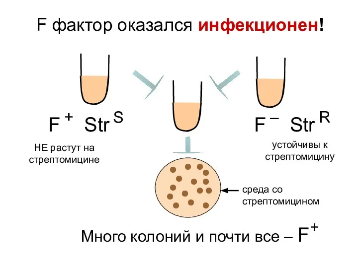 F фактор оказался инфекционен!