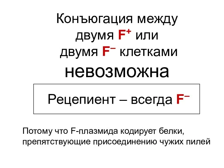 Конъюгация между двумя F+ или двумя F– клетками невозможна Рецепиент –