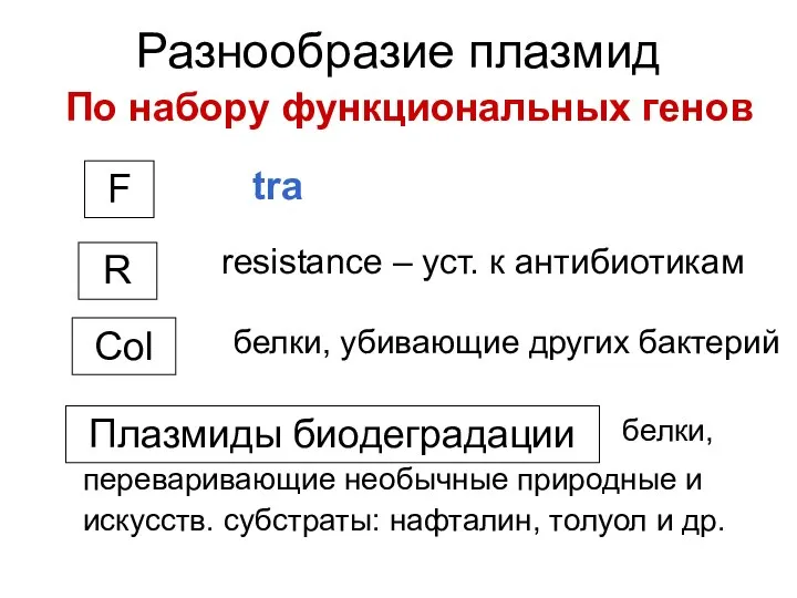 Разнообразие плазмид tra F R resistance – уст. к антибиотикам По