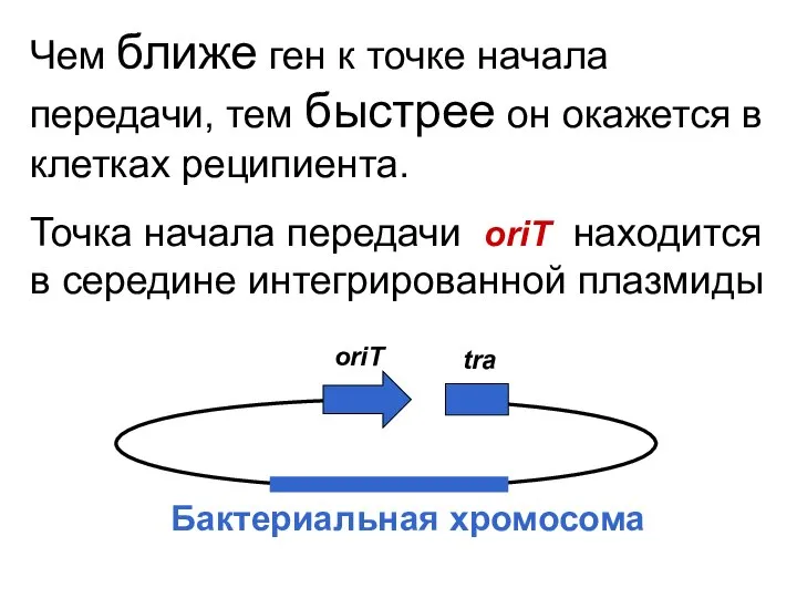 Чем ближе ген к точке начала передачи, тем быстрее он окажется