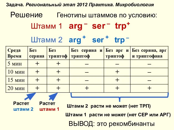 Решение Генотипы штаммов по условию: Задача. Региональный этап 2012 Практика. Микробиология