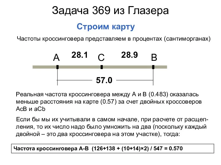 Задача 369 из Глазера Строим карту Реальная частота кроссинговера между А