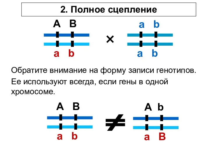 A B a b a b a b × 2. Полное