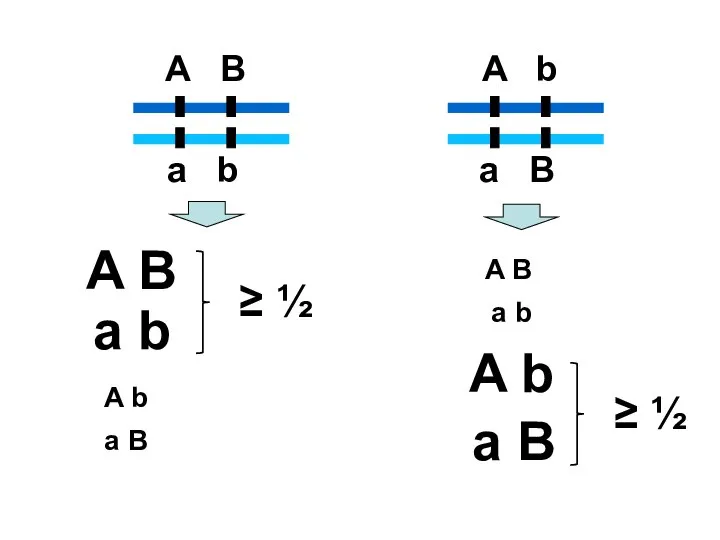 A B a b A b a B A B a
