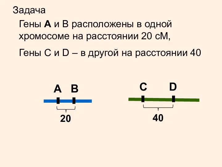 Задача A B Гены А и В расположены в одной хромосоме