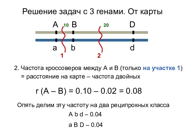 2. Частота кроссоверов между А и В (только на участке 1)
