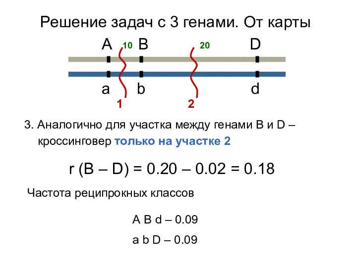 3. Аналогично для участка между генами В и D – кроссинговер