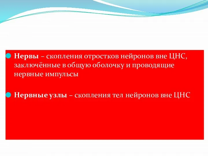 Нервы – скопления отростков нейронов вне ЦНС, заключённые в общую оболочку