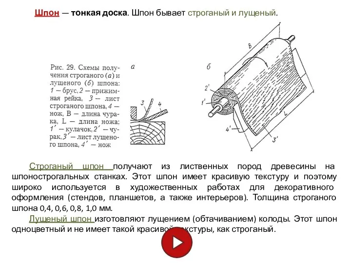 Строганый шпон получают из лиственных пород древесины на шпонострогальных станках. Этот