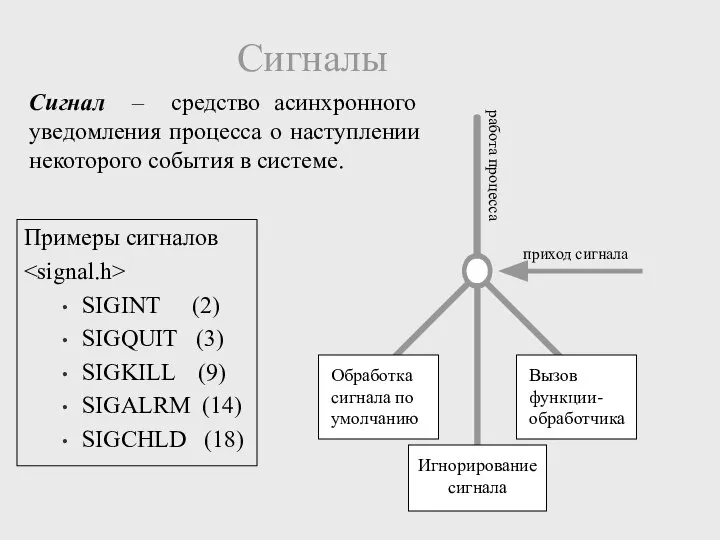 Сигналы Примеры сигналов SIGINT (2) SIGQUIT (3) SIGKILL (9) SIGALRM (14)