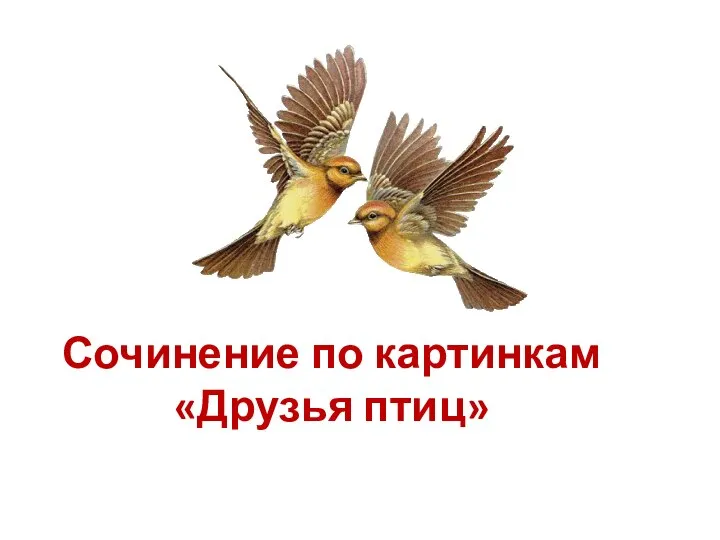 Сочинение по картинкам «Друзья птиц»