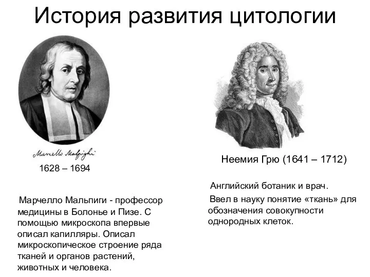 История развития цитологии 1628 – 1694 Марчелло Мальпиги - профессор медицины