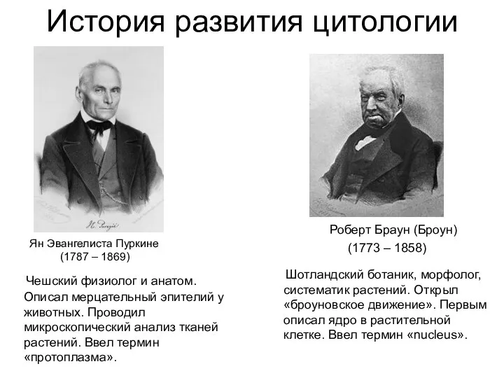 История развития цитологии Ян Эвангелиста Пуркине (1787 – 1869) Чешский физиолог