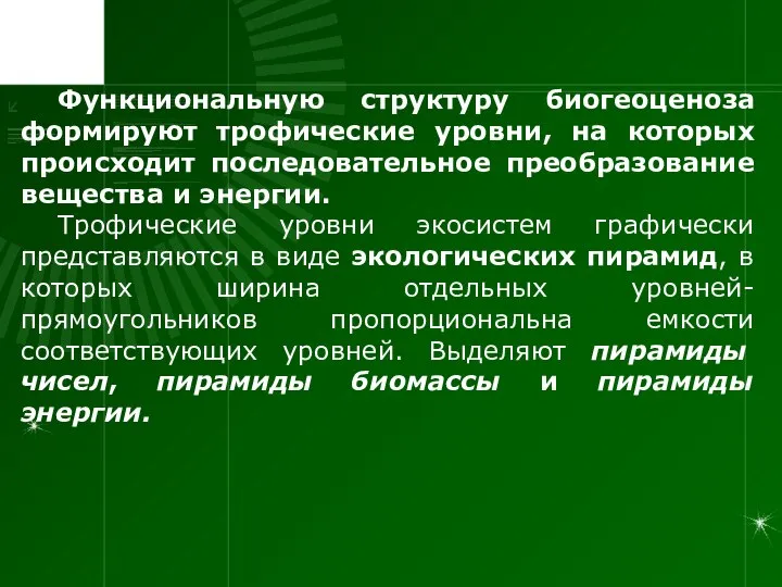 Функциональную структуру биогеоценоза формируют трофические уровни, на которых происходит последовательное преобразование