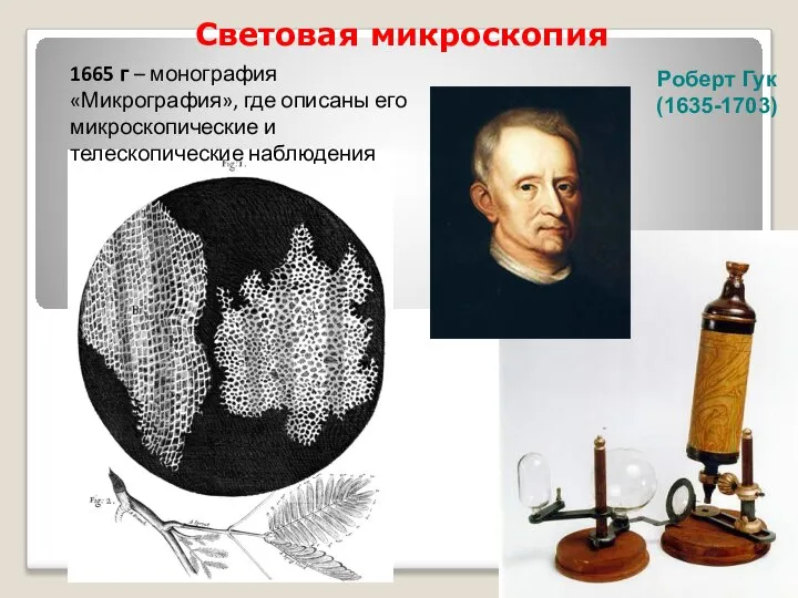 Световая микроскопия Роберт Гук (1635-1703) 1665 г – монография «Микрография», где