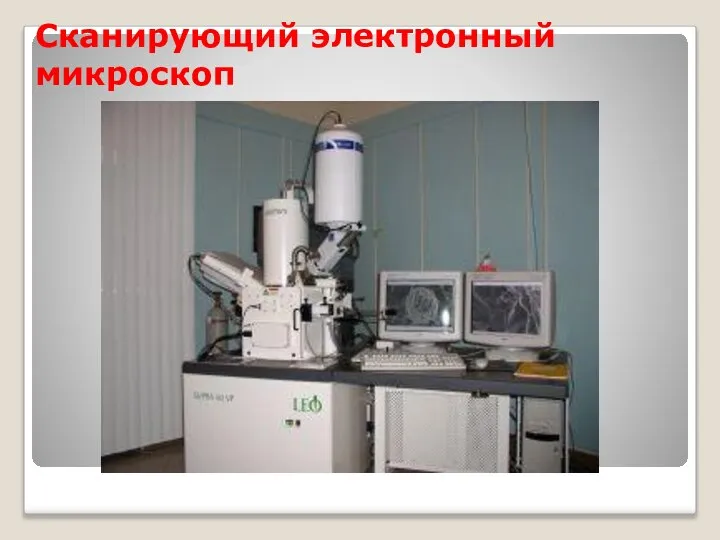 Сканирующий электронный микроскоп