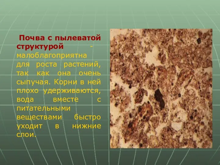 Почва с пылеватой структурой - малоблагоприятна для роста растений, так как