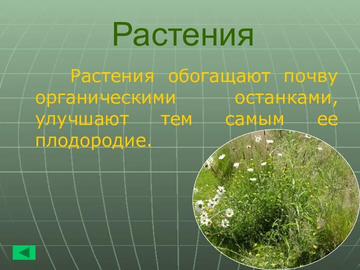 Растения Растения обогащают почву органическими останками, улучшают тем самым ее плодородие.