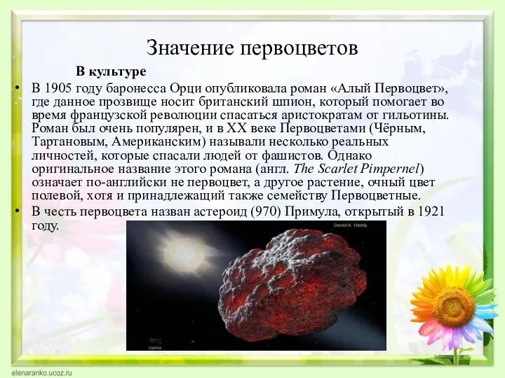 Значение первоцветов В культуре В 1905 году баронесса Орци опубликовала роман