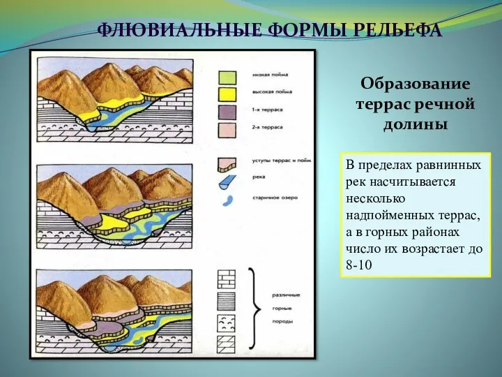 ФЛЮВИАЛЬНЫЕ ФОРМЫ РЕЛЬЕФА Образование террас речной долины В пределах равнинных рек