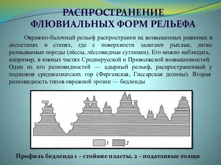 Овражно-балочный рельеф распространен на возвышенных равнинах в лесостепях и степях, где