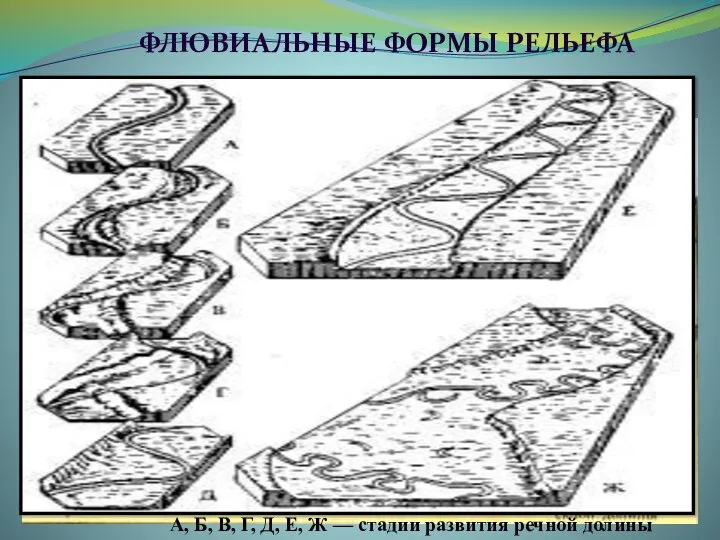 К элементам речных долин относятся: русло; пойма; речные террасы; дельта. ФЛЮВИАЛЬНЫЕ