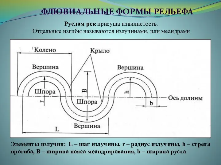 Руслам рек присуща извилистость. Отдельные изгибы называются излучинами, или меандрами ФЛЮВИАЛЬНЫЕ