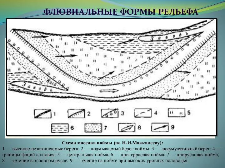 ФЛЮВИАЛЬНЫЕ ФОРМЫ РЕЛЬЕФА Пойма — это часть днища речной долины, приподнятая