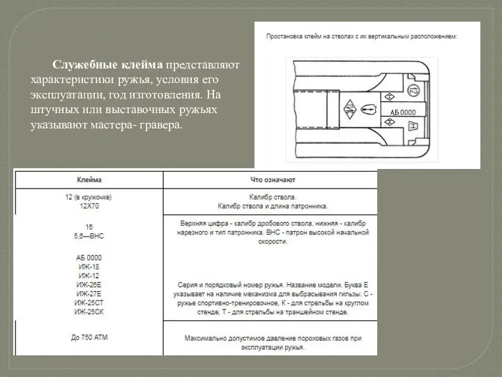 Служебные клейма представляют характеристики ружья, условия его эксплуатации, год изготовления. На