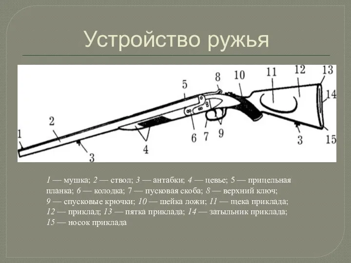 1 — мушка; 2 — ствол; 3 — антабки; 4 —