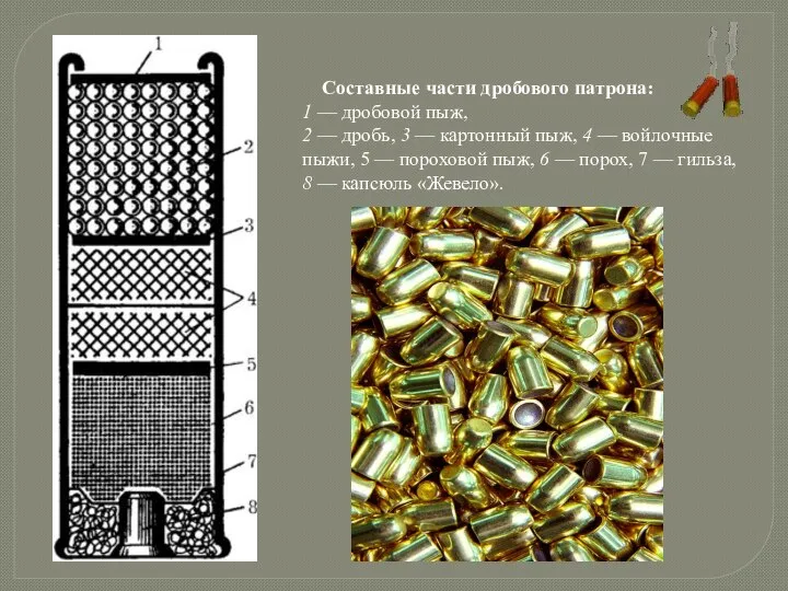 Составные части дробового патрона: 1 — дробовой пыж, 2 — дробь,