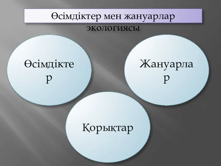 Өсімдіктер мен жануарлар экологиясы Өсімдіктер Жануарлар Қорықтар