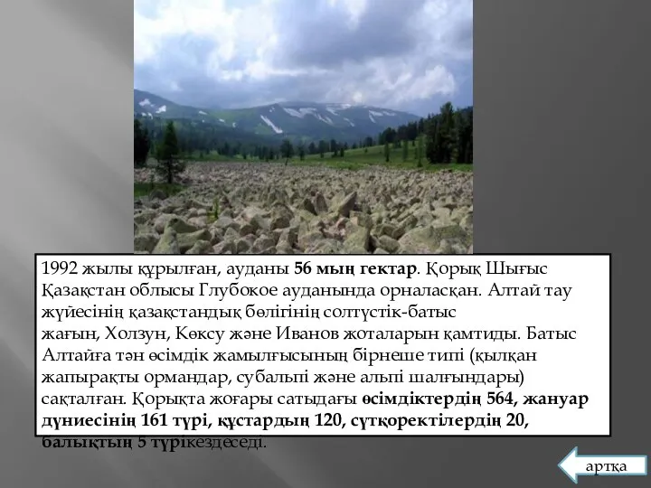 1992 жылы құрылған, ауданы 56 мың гектар. Қорық Шығыс Қазақстан облысы