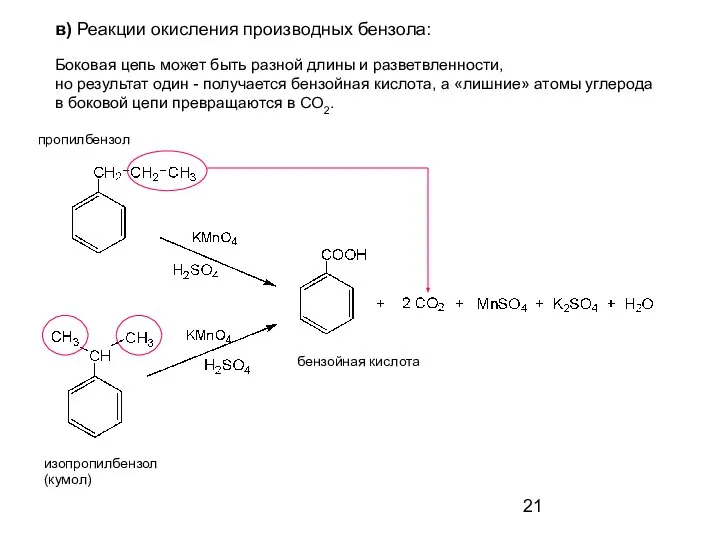 пропилбензол изопропилбензол (кумол) бензойная кислота Боковая цепь может быть разной длины