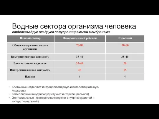 Водные сектора организма человека отделены друг от друга полупроницаемыми мембранами Клеточные