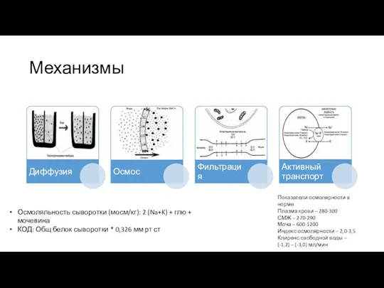 Механизмы Осмоляльность сыворотки (мосм/кг): 2 (Na+K) + глю + мочевина КОД: