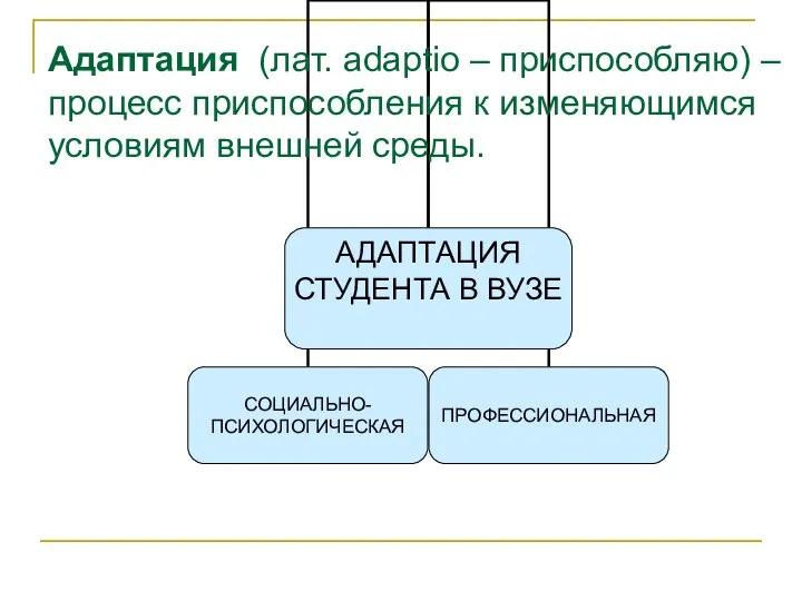 Адаптация (лат. аdaptio – приспособляю) – процесс приспособления к изменяющимся условиям внешней среды.