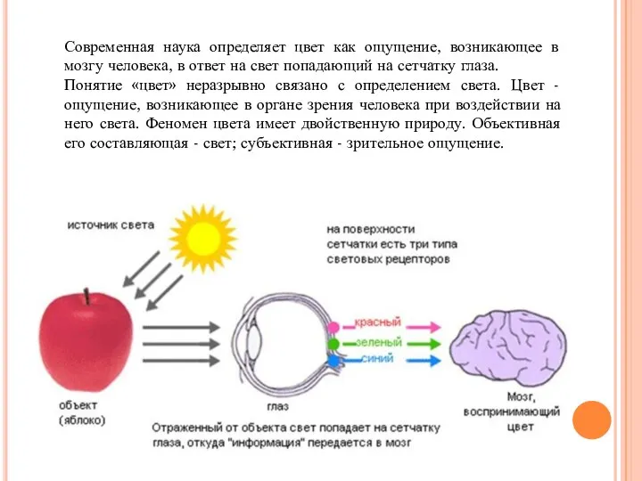 Современная наука определяет цвет как ощущение, возникающее в мозгу человека, в