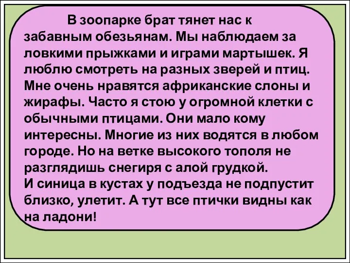 В зоопарке брат тянет нас к забавным обезьянам. Мы наблюдаем за