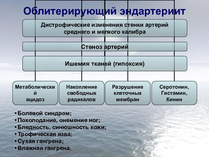 Облитерирующий эндартериит Болевой синдром; Похолодание, онемение ног; Бледность, синюшность кожи; Трофическая язва; Сухая гангрена; Влажная гангрена.